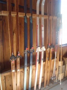 the skis